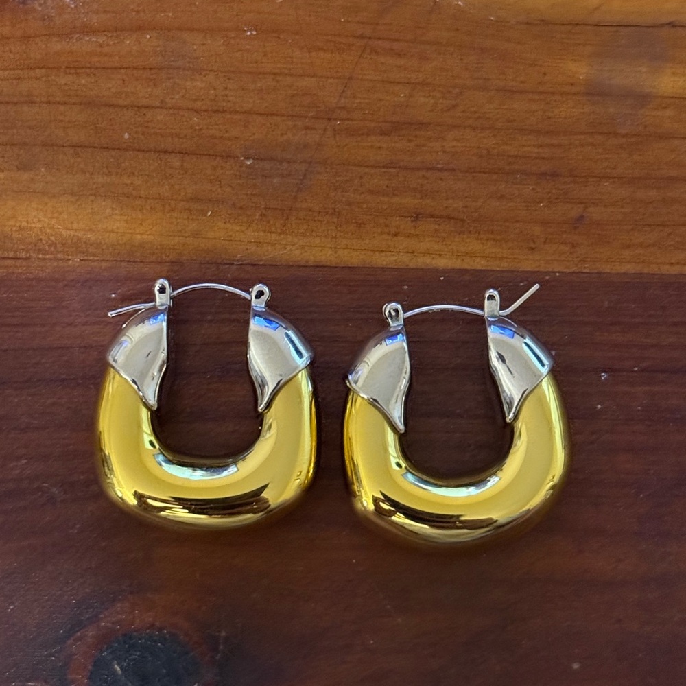 Lizzie Fortunato Organic Hoops in Mixed Metal